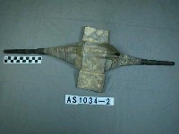 藏品(棒盾)的圖片